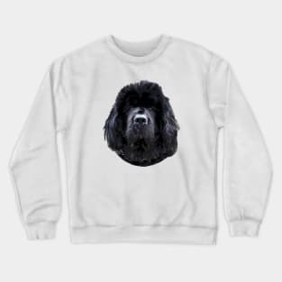 Newfoundland Puppy Dog Crewneck Sweatshirt